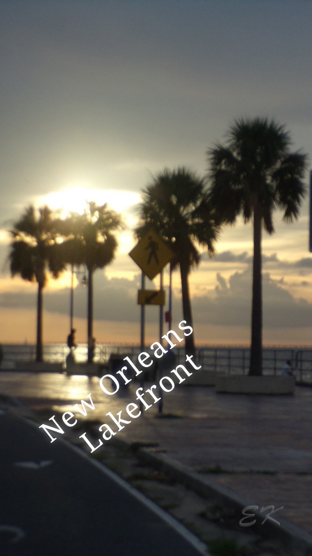 New Orleans 
Lakefront